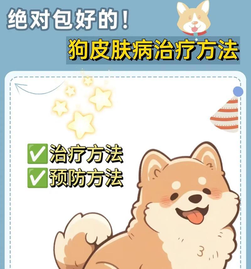 治疗狗皮肤病药物选择全攻略