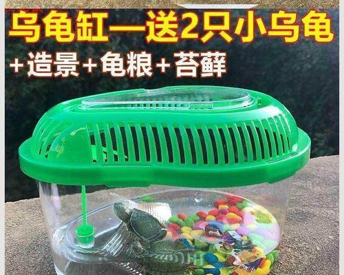 小女孩养宠物指南｜选择适合的宠物培养责任感与爱心