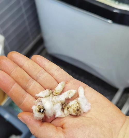 如何选择适合的洗浴用品|洗澡体验全攻略(图3) 如何选择适合的洗浴用品|洗澡体验全攻略(图3)