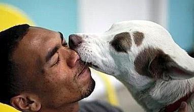 狗狗舔主人嘴的原因解析|行为动机全攻略(图1) 狗狗舔主人嘴的原因解析|行为动机全攻略(图1)