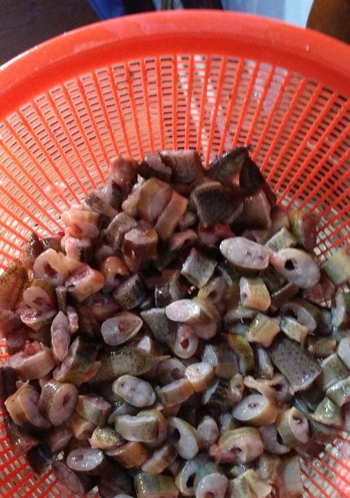 银龙鱼科学饲养指南｜健康成长全要点(图1)