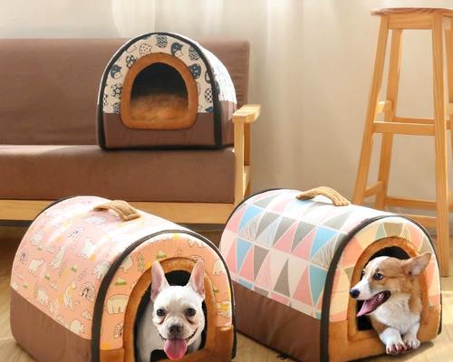 泰迪配窝全攻略｜选择合适窝的关键要点