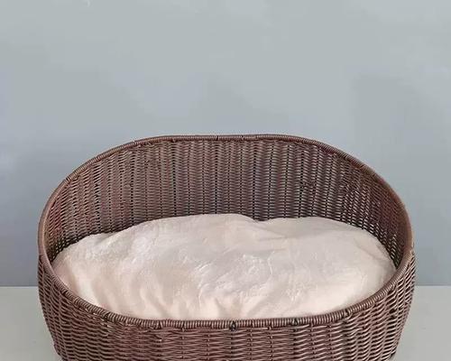 泰迪配窝全攻略｜选择合适窝的关键要点(图3)