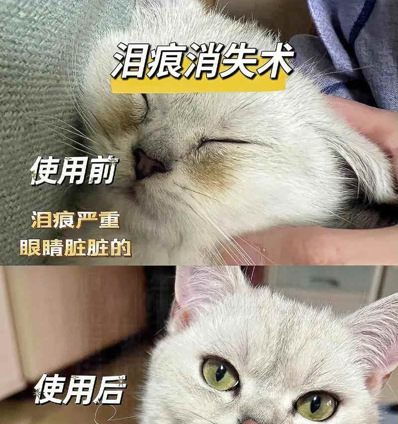 眼屎的成因与作用全攻略|眼部健康必读(图1) 眼屎的成因与作用全攻略|眼部健康必读(图1)