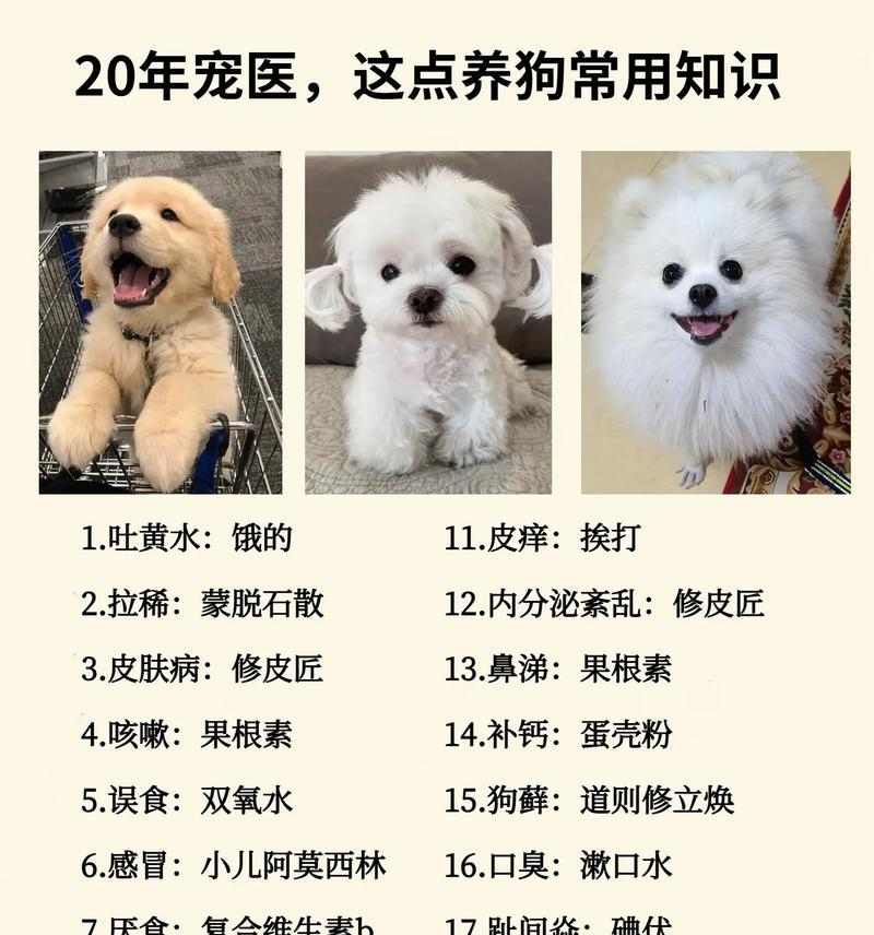 狗狗皮肤病治疗全攻略｜药物选择与使用指南(图2)