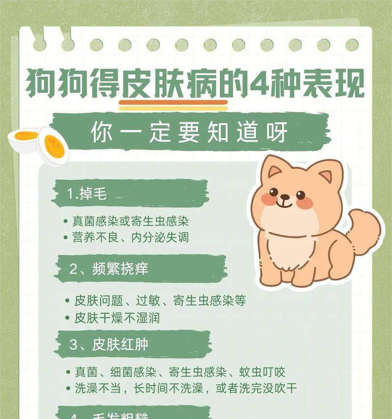 狗狗皮肤病治疗全攻略｜药物选择与使用指南(图1)