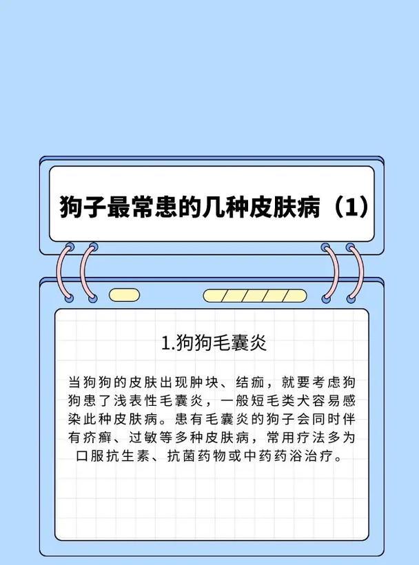 治疗皮肤病的狗该吃什么药｜实用指南(图3)