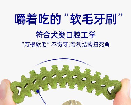 泰迪狗磨牙棒选择指南｜实用技巧助狗狗健康成长(图3)