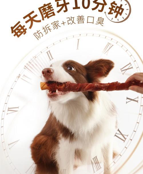 泰迪狗磨牙棒选择指南｜实用技巧助狗狗健康成长(图2)