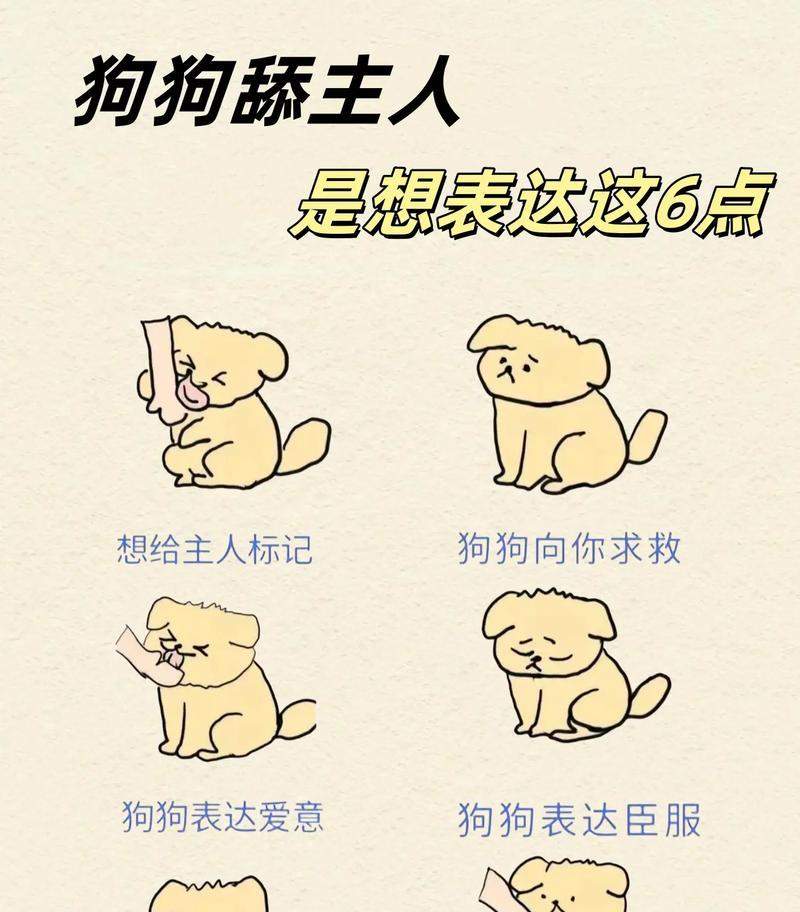 狗狗舔主人的原因与意义|实用指南(图3) 狗狗舔主人的原因与意义|实用指南(图3)