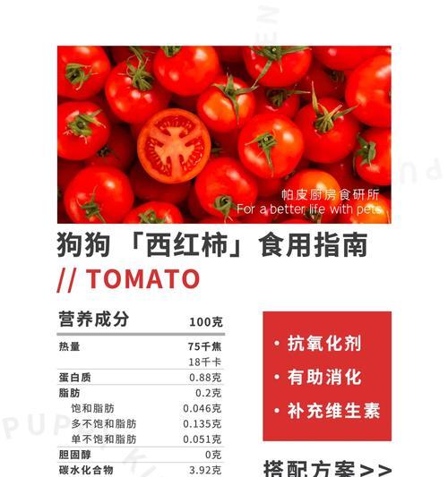 小狗受伤该吃什么药｜实用指南全攻略(图1)