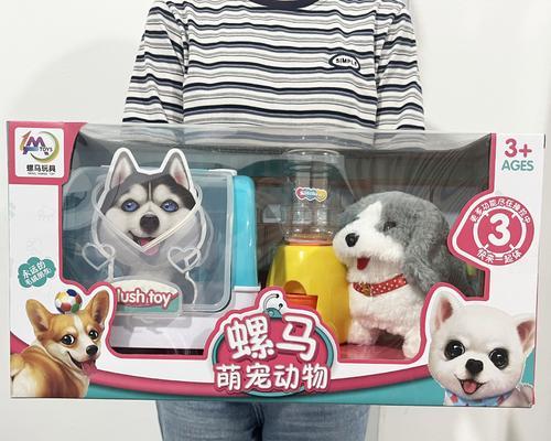 为小狗选择适合的玩具｜实用指南全攻略
