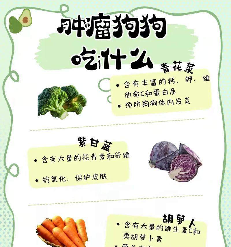 狗狗不能吃的肉有哪些|宠物饮食安全指南(图2) 狗狗不能吃的肉有哪些|宠物饮食安全指南(图2)