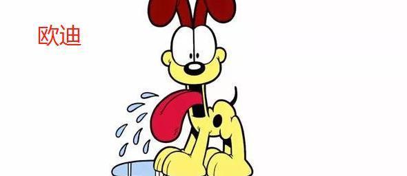 加菲猫的乖巧与调皮｜宠物养护实用指南