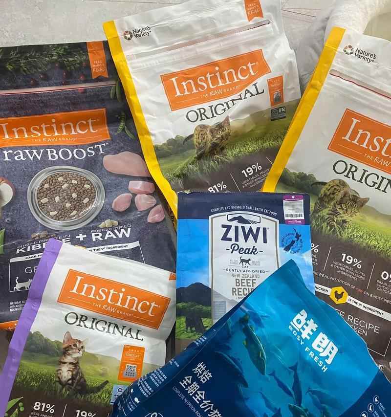 小猫几周开始吃猫粮｜科学喂养实用指南