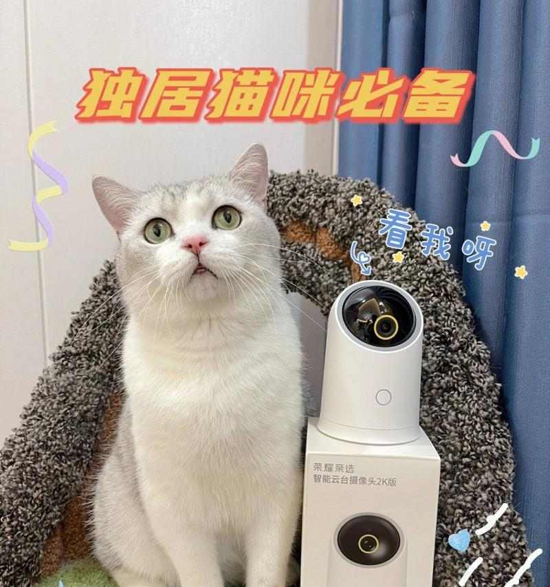 揭秘猫咪居家生活全攻略|了解猫咪的乐趣与需求(图2) 揭秘猫咪居家生活全攻略|了解猫咪的乐趣与需求(图2)
