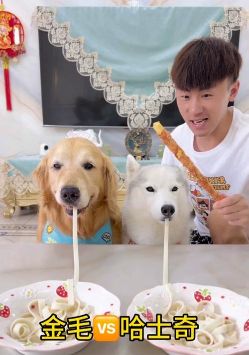 哈士奇3个月饮食指南|科学喂养关键在于均衡(图2) 哈士奇3个月饮食指南|科学喂养关键在于均衡(图2)