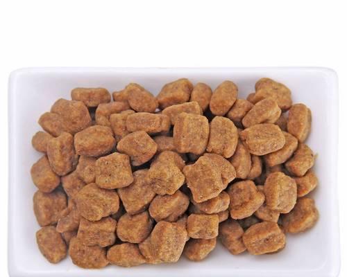 选择适合泰迪犬的天然粮｜健康饮食全攻略(图1)