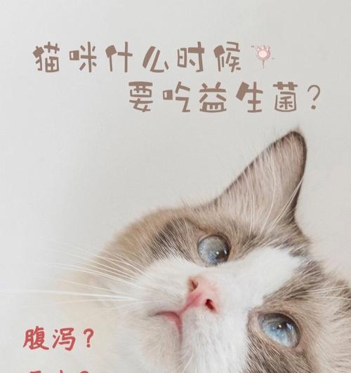 猫咪身上的细菌全攻略｜保护你和宠物的健康(图3)