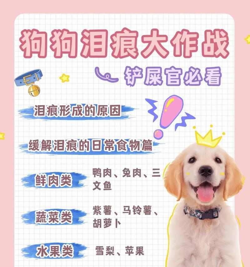 狗狗术后饮食护理全攻略|科学搭配加速康复(图2) 狗狗术后饮食护理全攻略|科学搭配加速康复(图2)