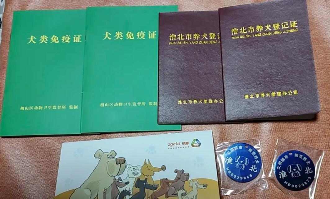 购买狗狗必备证件与注意事项全攻略｜养犬实用指南(图2)