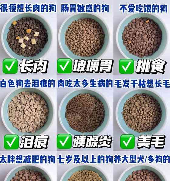 狗粮选择与狗狗体重管理全攻略｜科学喂养关键技巧(图1)