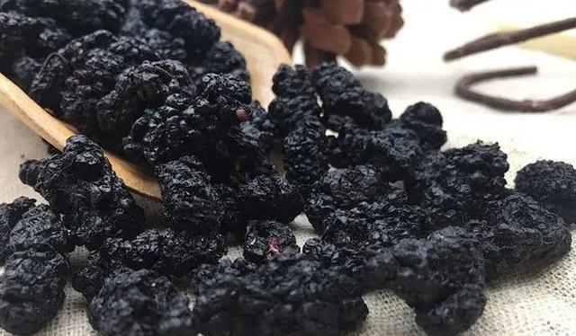 狗狗黑色便便原因全攻略｜如何判断与处理