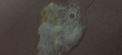 狗鼻子白色鼻涕原因解析｜宠物健康实用指南(图1)