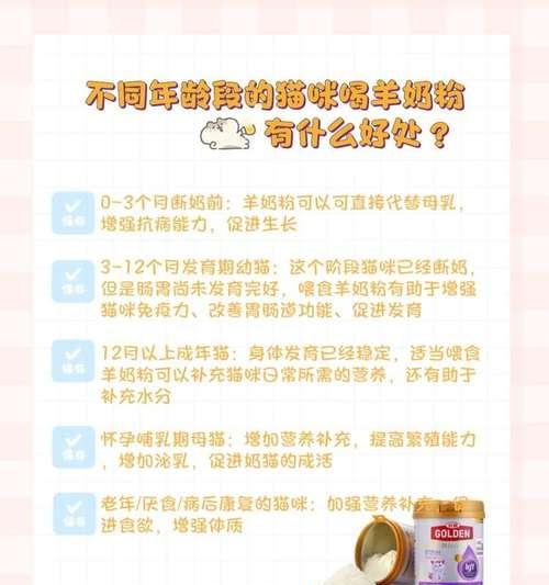 猫咪日常饮食指南|科学喂养让宠物更健康(图1) 猫咪日常饮食指南|科学喂养让宠物更健康(图1)