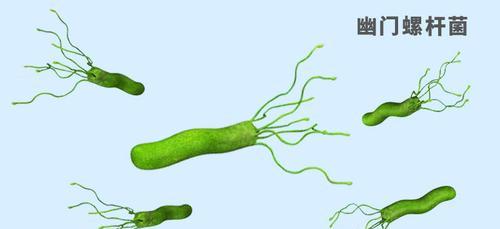 小狗呕吐物为何常呈绿色|健康原因全攻略(图3) 小狗呕吐物为何常呈绿色|健康原因全攻略(图3)