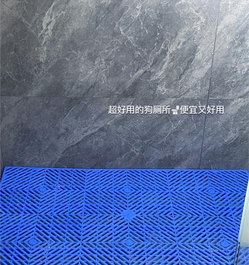 拉布拉多清洗全攻略|掌握正确方法让宠物干净舒适(图2) 拉布拉多清洗全攻略|掌握正确方法让宠物干净舒适(图2)