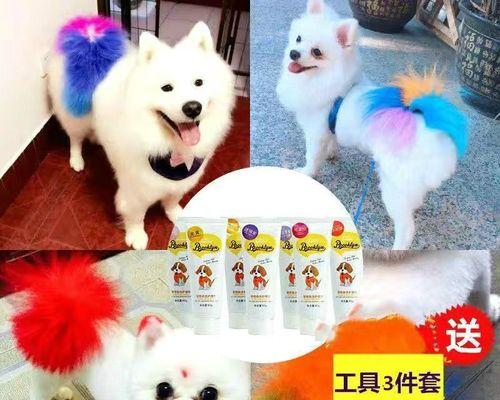 狗狗染毛颜色选择全攻略|让宠物更出众的实用指南(图1) 狗狗染毛颜色选择全攻略|让宠物更出众的实用指南(图1)