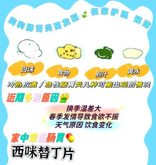 小狗呕吐的常见原因｜宠物健康实用指南(图3)