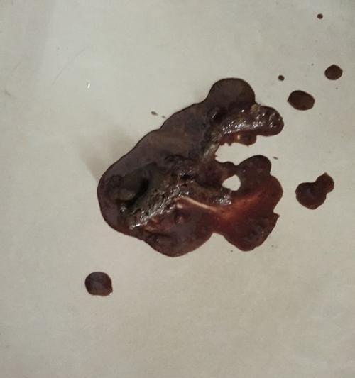 狗狗吐血的常见原因与应对措施｜宠物健康实用指南(图2)