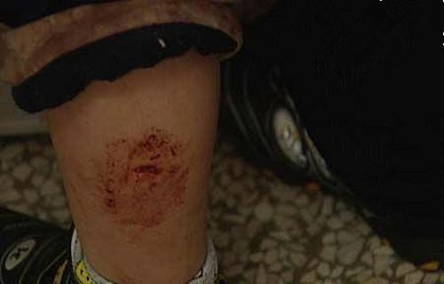 老血狗的含义解析|网络文化中的独特表达方式(图1) 老血狗的含义解析|网络文化中的独特表达方式(图1)