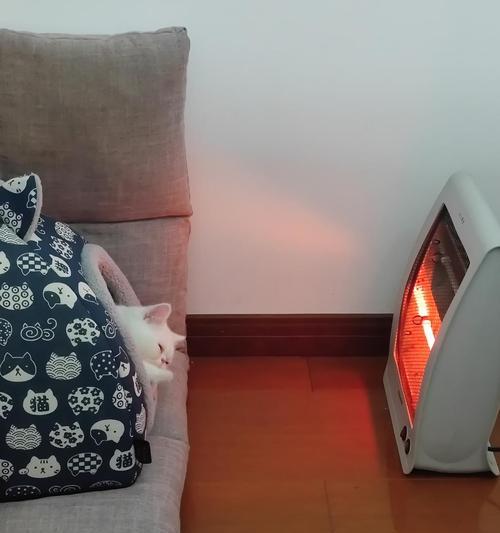 泰迪打哆嗦原因及解决方法｜狗狗健康护理全攻略