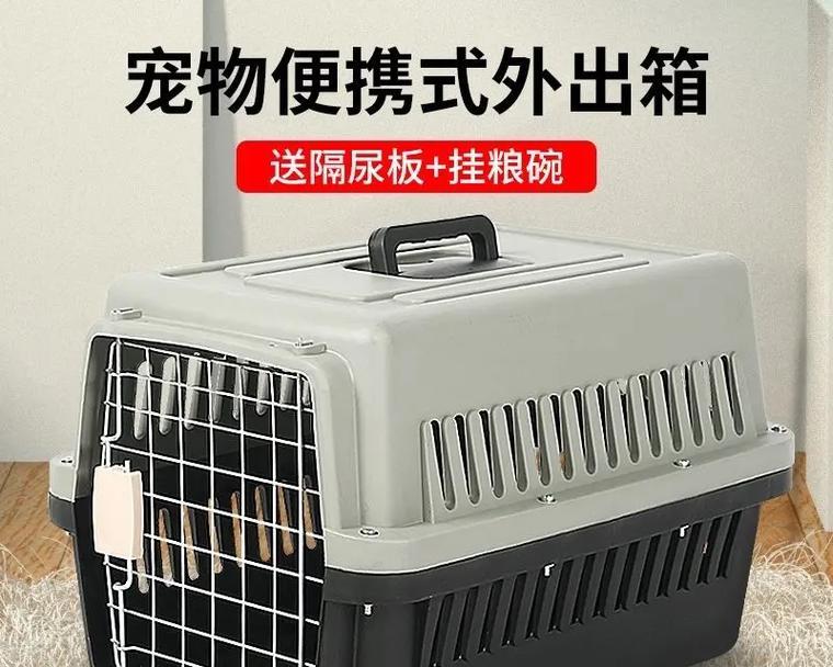 老血狗的含义解析|网络文化中的独特表达方式(图2) 老血狗的含义解析|网络文化中的独特表达方式(图2)