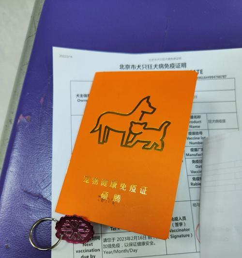 狗抗体检测全攻略|宠物健康守护关键步骤(图1) 狗抗体检测全攻略|宠物健康守护关键步骤(图1)