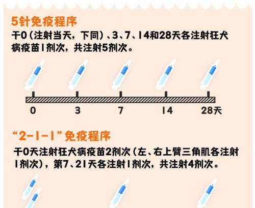 狗抗体检测全攻略|宠物健康守护关键步骤(图3) 狗抗体检测全攻略|宠物健康守护关键步骤(图3)