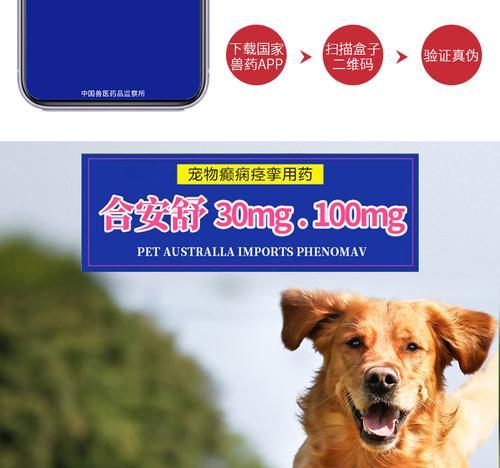 小狗犬瘟药物治疗全攻略｜有效方法与关键要点