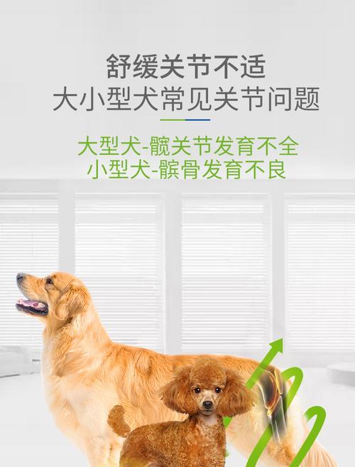 德牧幼犬补钙全攻略｜科学补钙助力骨骼健康发育(图3)