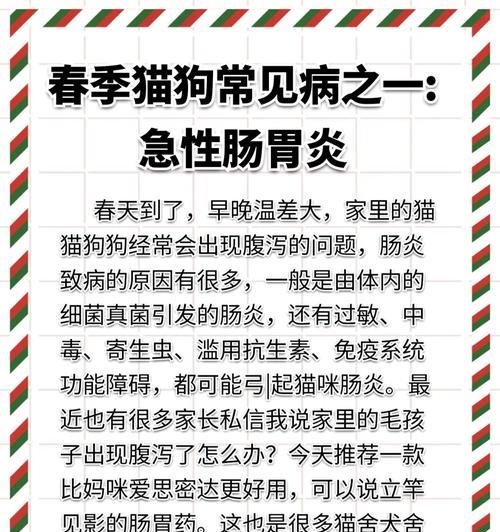狗狗胃炎饮食护理全攻略|科学喂养助恢复(图2) 狗狗胃炎饮食护理全攻略|科学喂养助恢复(图2)