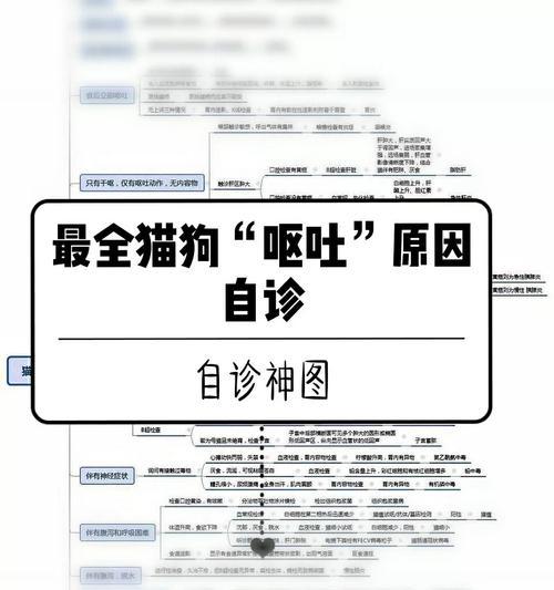 猫咪呕吐原因全攻略｜养猫必备知识(图3)