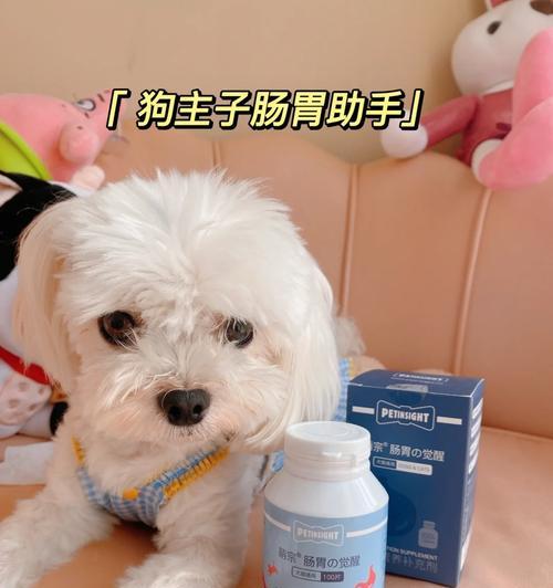 大狗产后饮食护理全攻略|科学喂养助恢复(图2) 大狗产后饮食护理全攻略|科学喂养助恢复(图2)