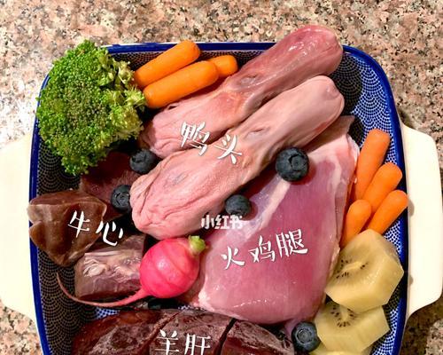 小狗受伤后如何处理|正确用药全攻略(图3) 小狗受伤后如何处理|正确用药全攻略(图3)