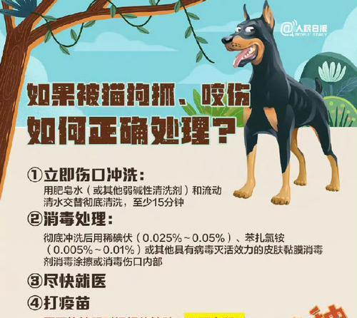 狗狗疫苗接种全攻略｜新手养宠必看的接种手续指南(图3)