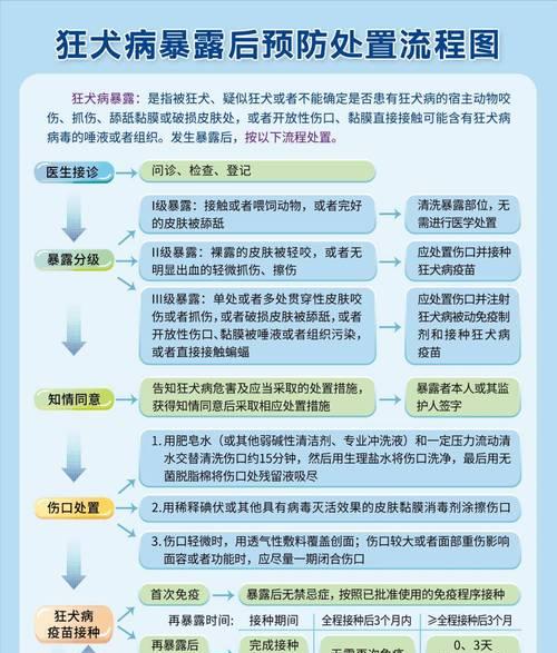 狗狗疫苗接种全攻略｜新手养宠必看的接种手续指南