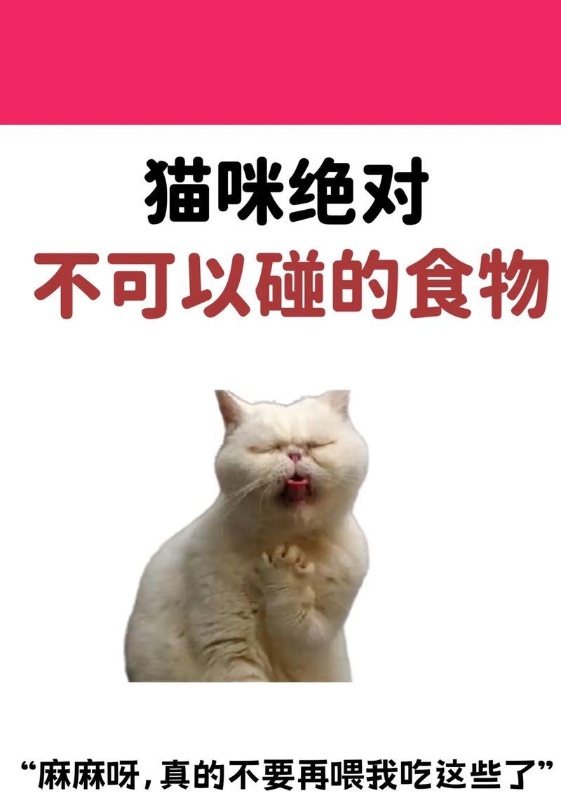 猫咪怀孕期间饮食指南|科学喂养助母猫健康(图1) 猫咪怀孕期间饮食指南|科学喂养助母猫健康(图1)