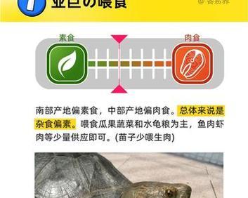 亚洲巨龟野外饮食习性全攻略｜揭秘它们吃什么(图2)