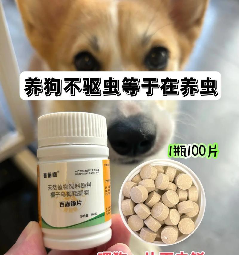 小狗打虫药物选择与使用方法全攻略｜宠物健康守护指南(图2)